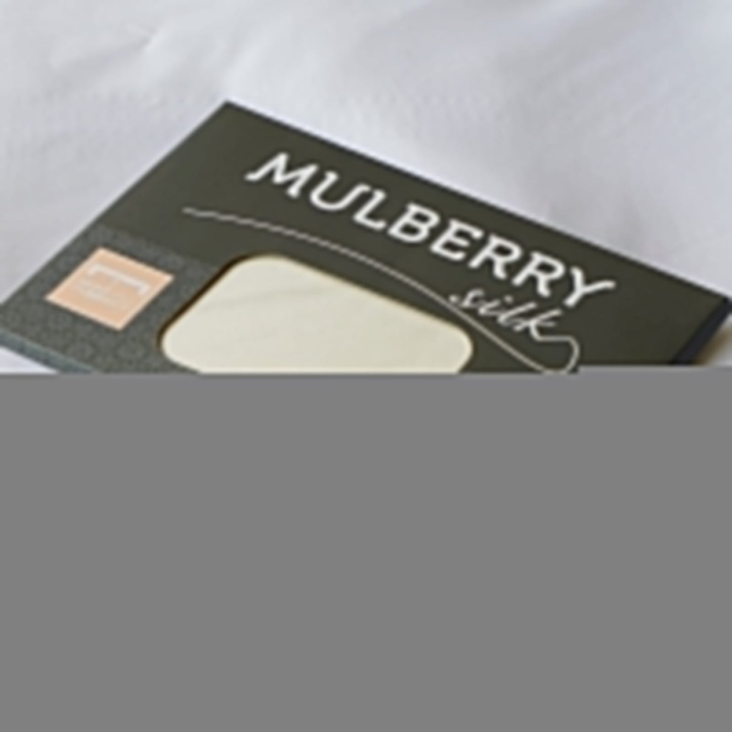 MULBERRY SILK PILLOW CASE