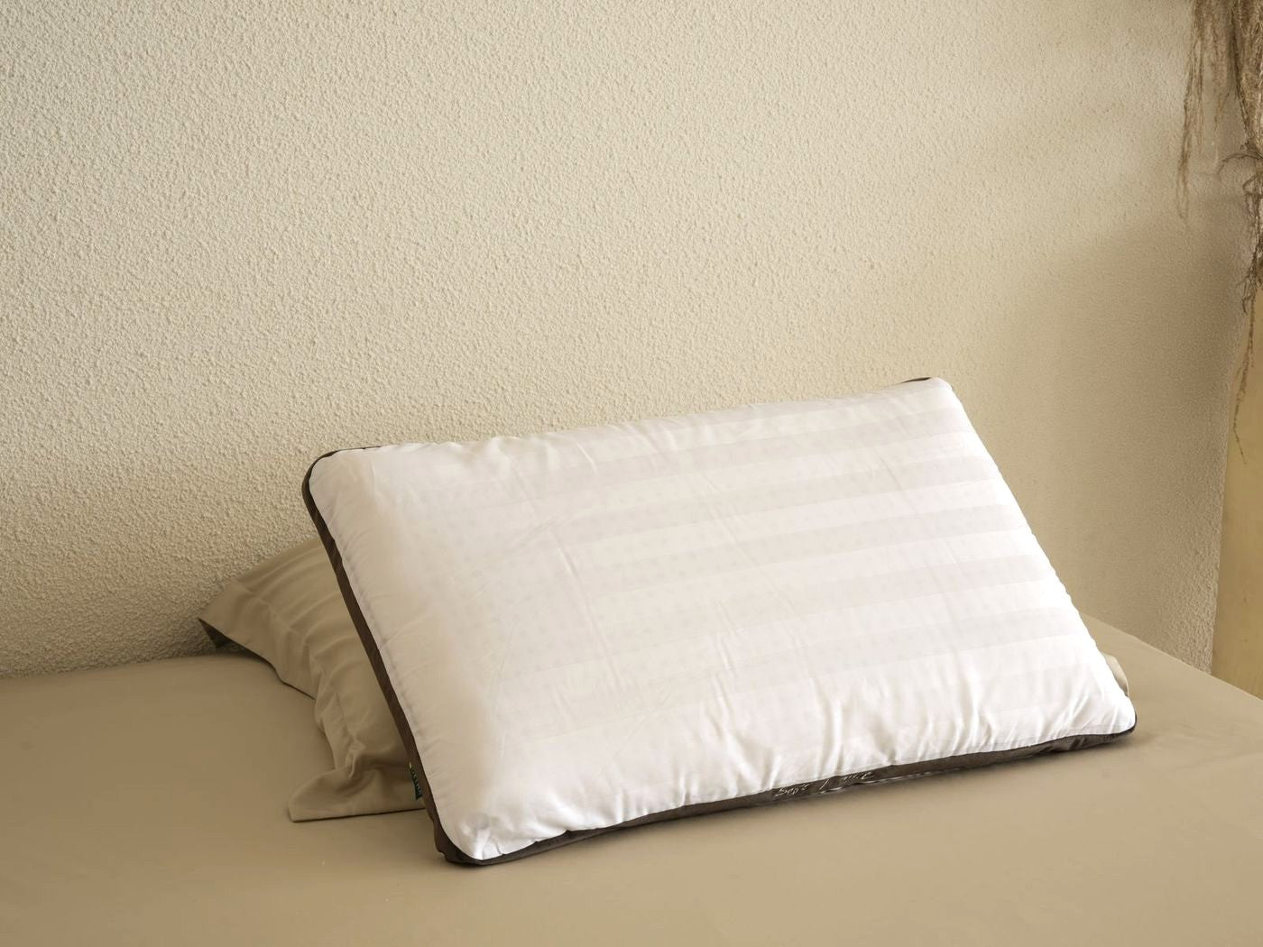 PILLOW - WINDY 360