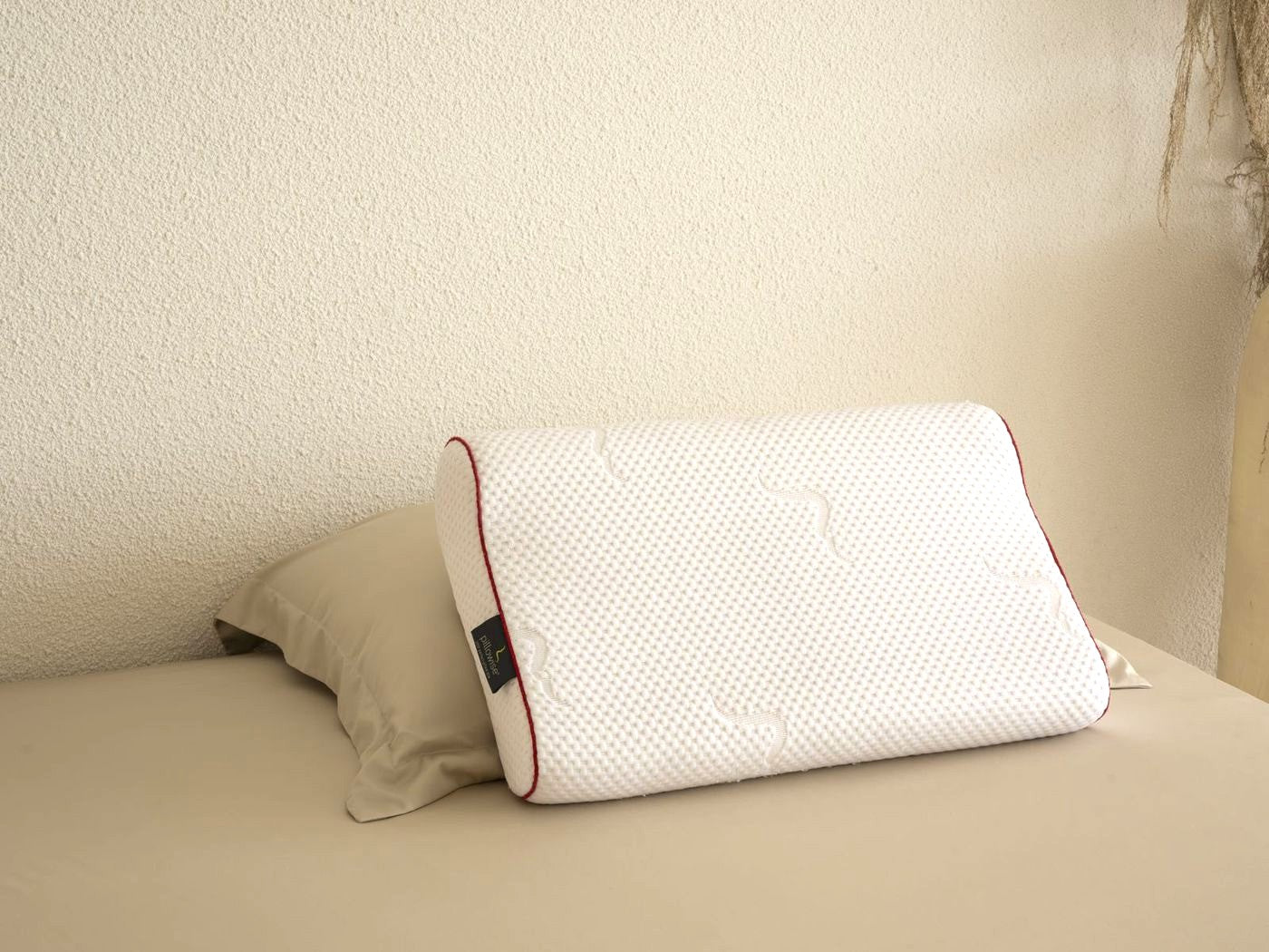 PILLOWISE PILLOW