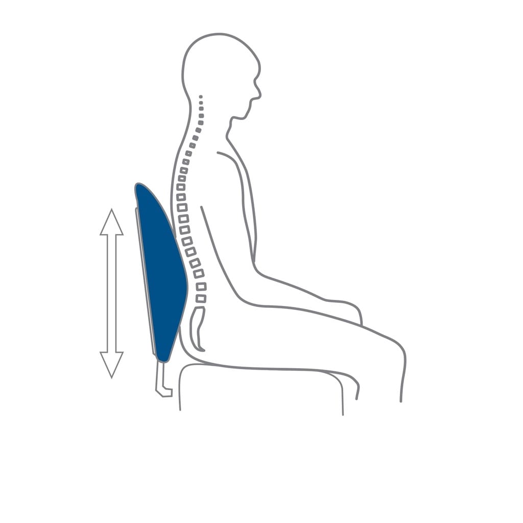 TEMPUR - LUMBAR SUPPORT