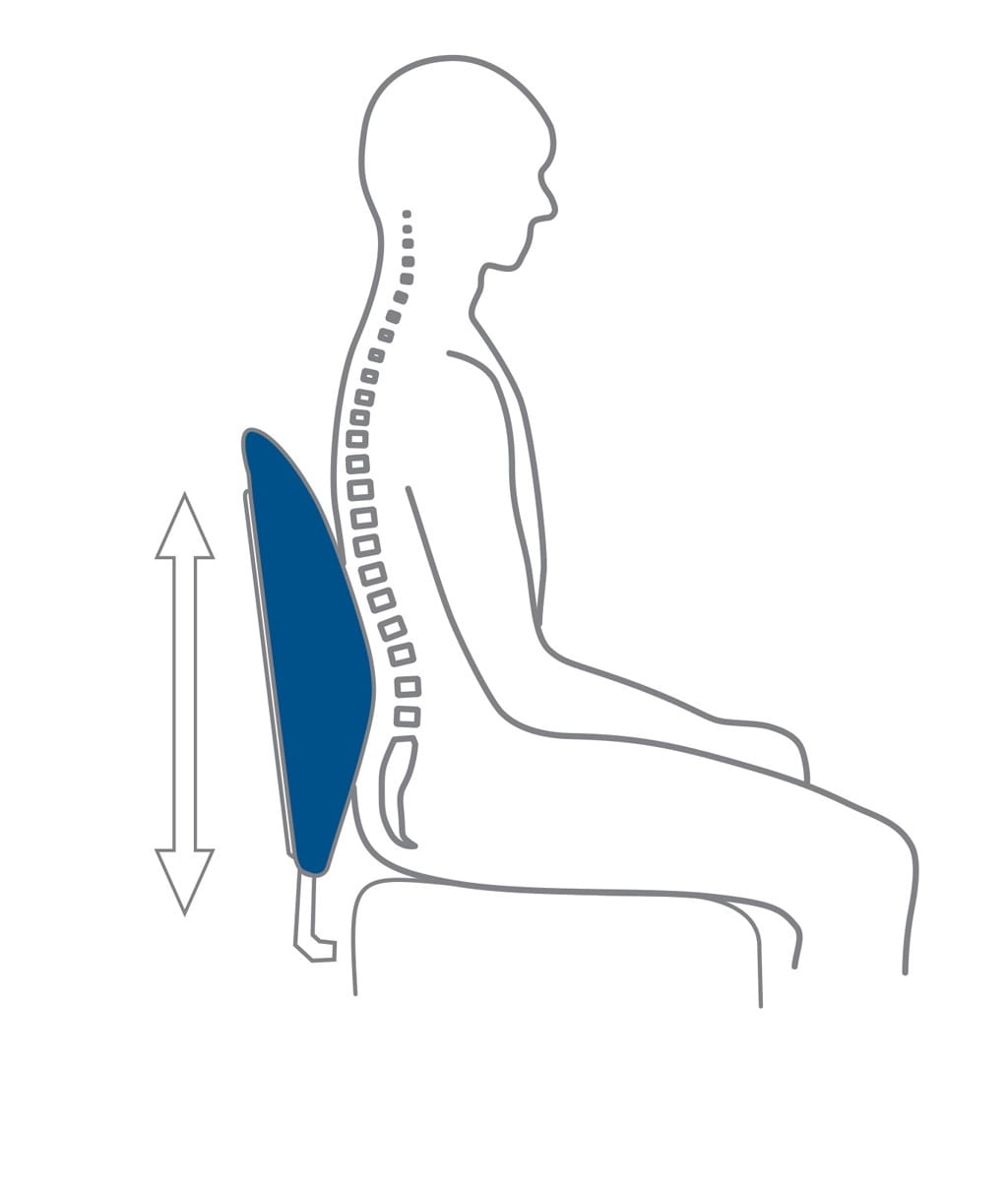 TEMPUR - TRANSIT LUMBAR SUPPORT