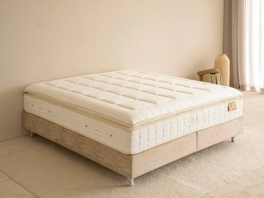 SPLENDID MATTRESS